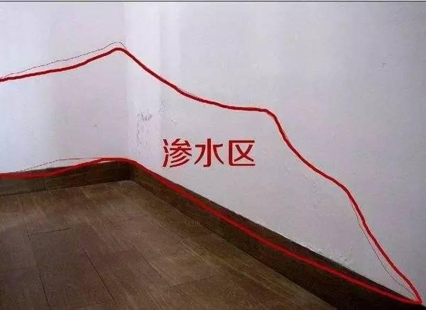 1b8500005ca3a58a34b6.jpg