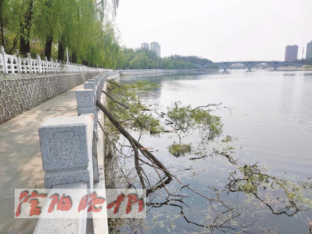 微信图片_20200409135201.jpg