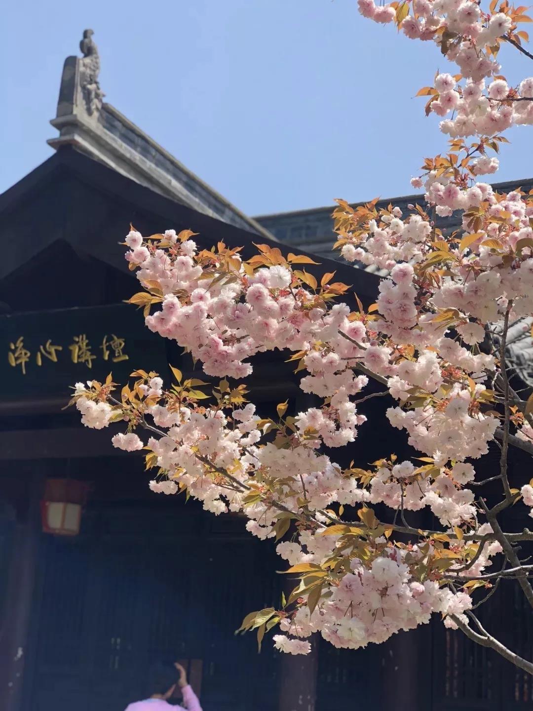 微信图片_20200410155932.jpg