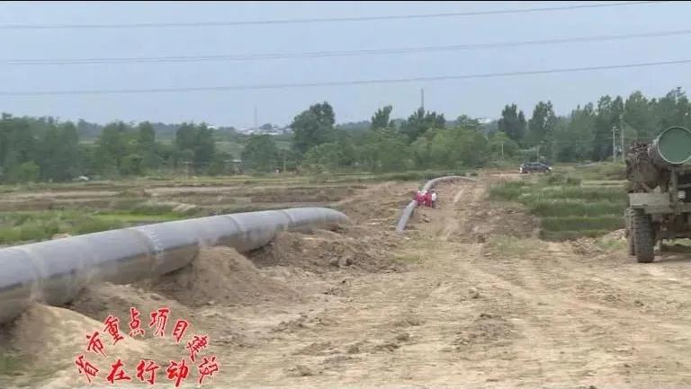 微信图片_20200520084549.jpg