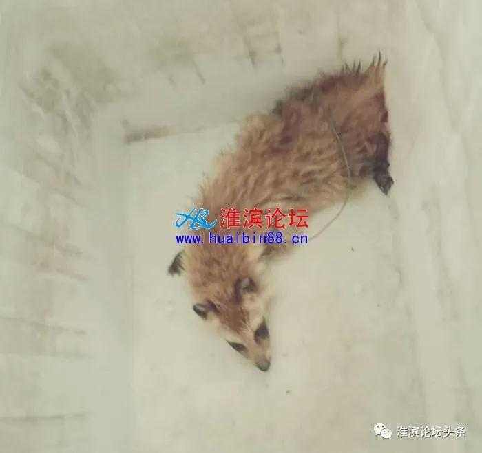 微信图片_20200522172351.jpg