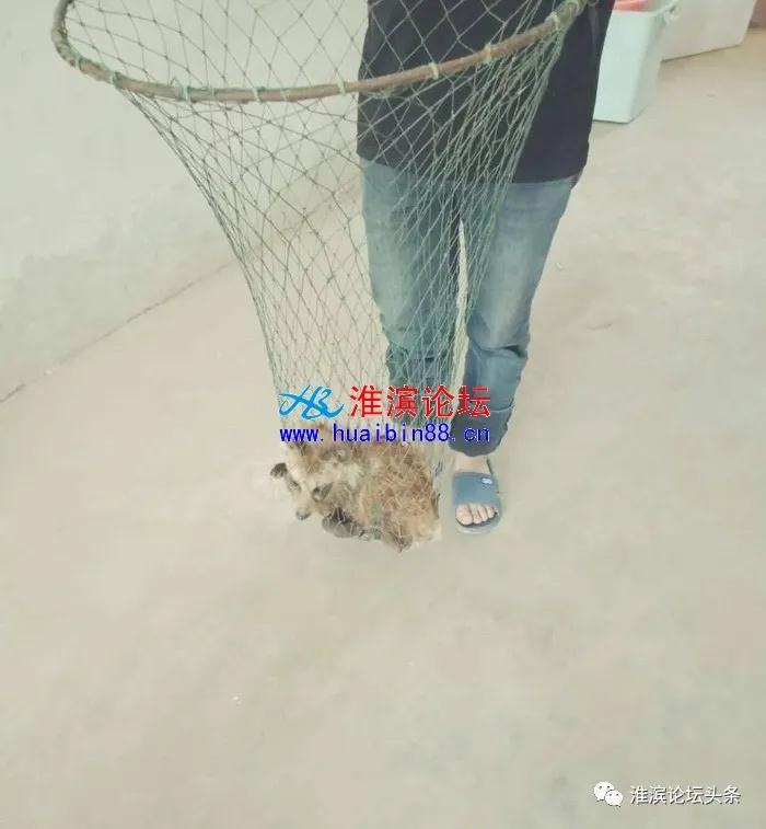 微信图片_20200522172349.jpg