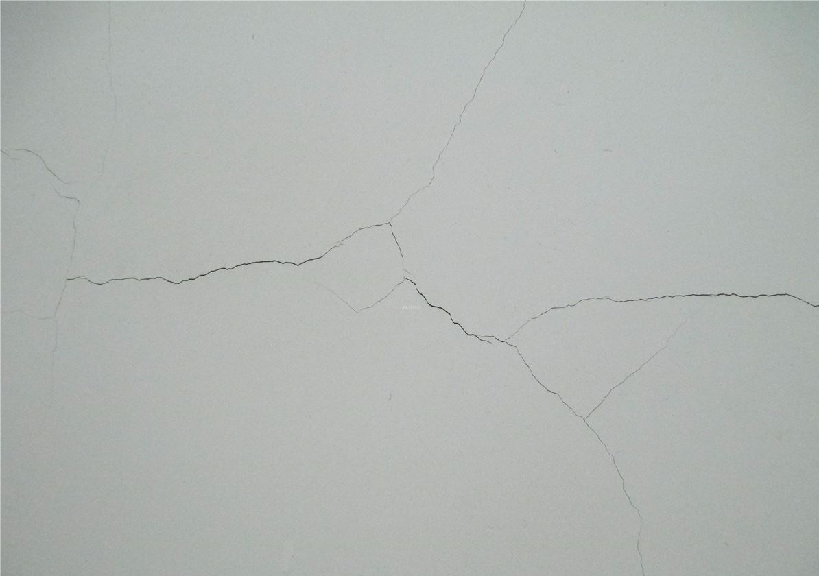20200902114512_6242.jpg