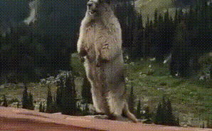 微信图片_20210208115558.gif