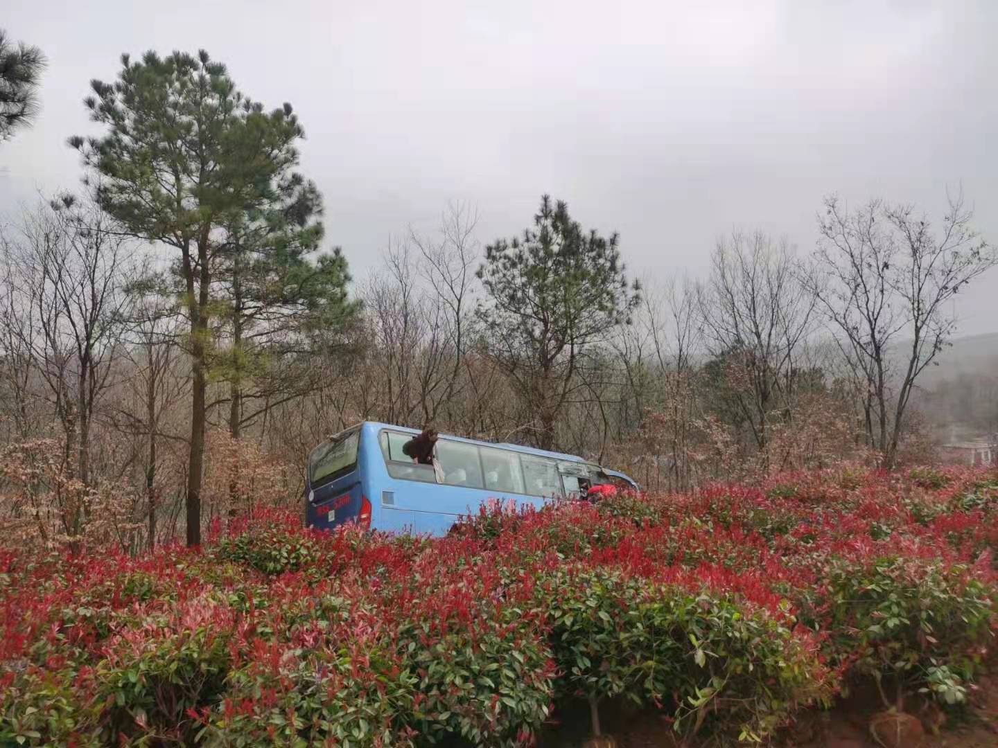 微信图片_20210312145311.jpg