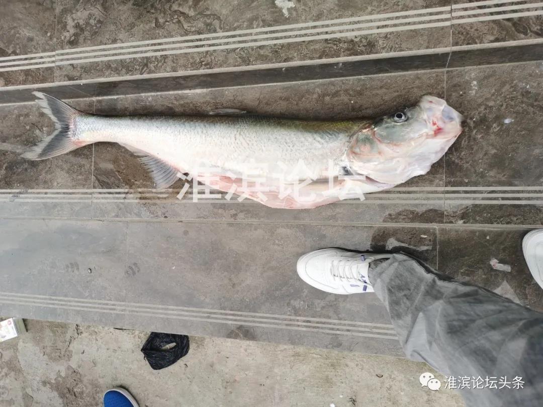 微信图片_20210529173621.jpg