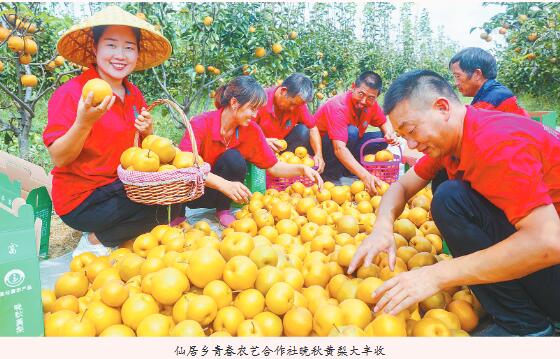 QQ截图20210609110714.jpg