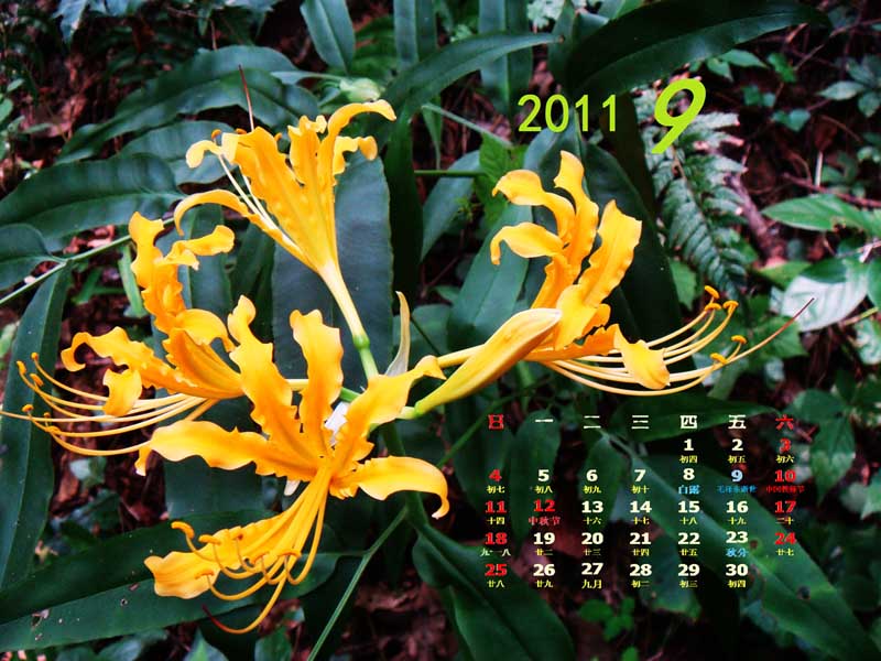201109-1x.jpg