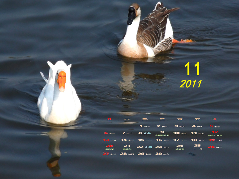 2011-11-11x.jpg