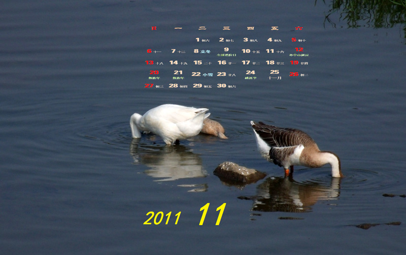 2011-11-5x.jpg
