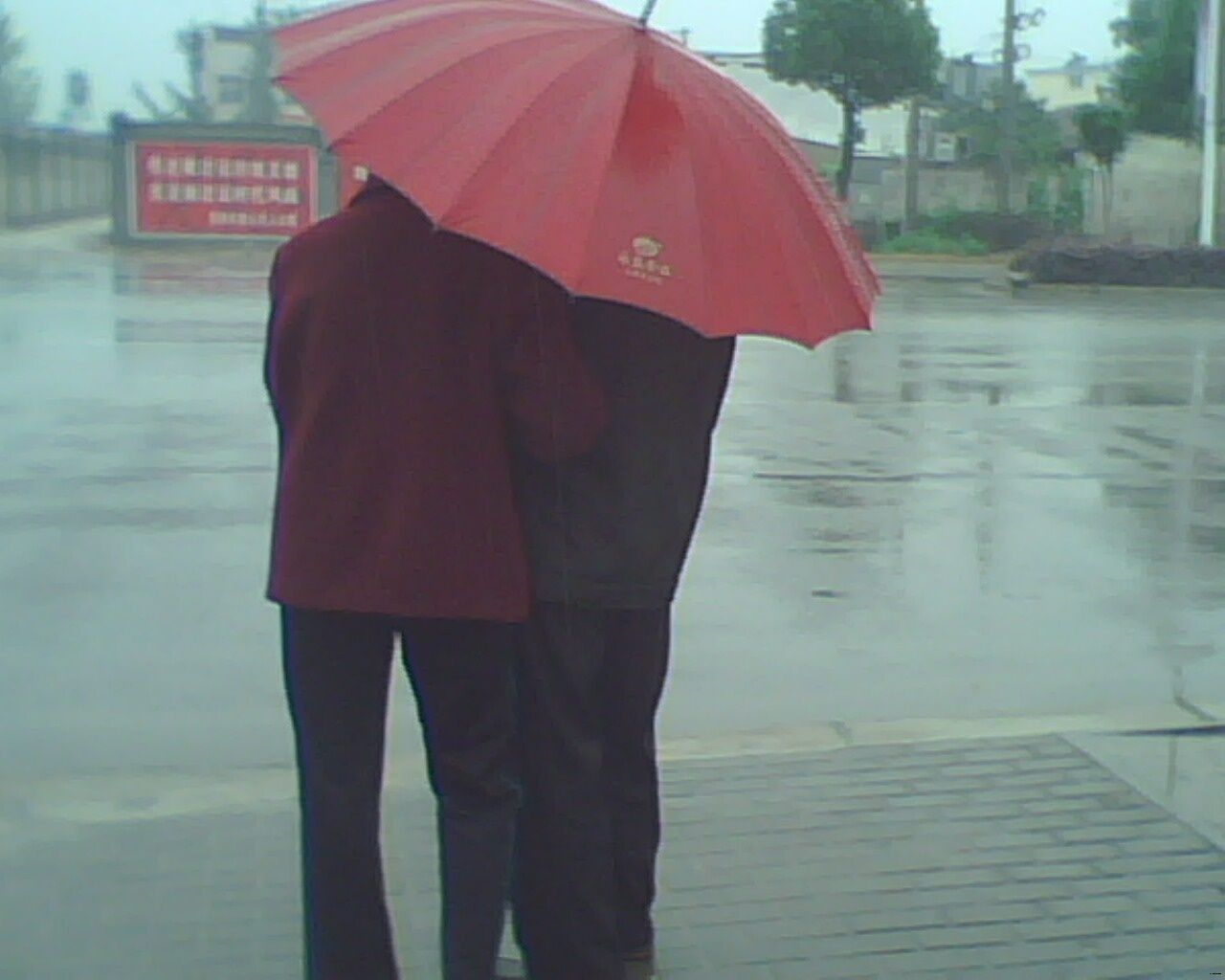 IMG0471A.jpg