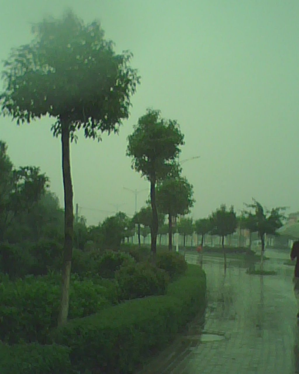 IMG0478A.jpg