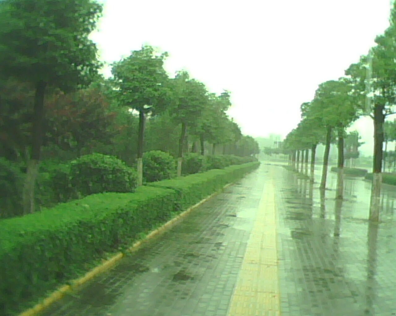 IMG0475A.jpg